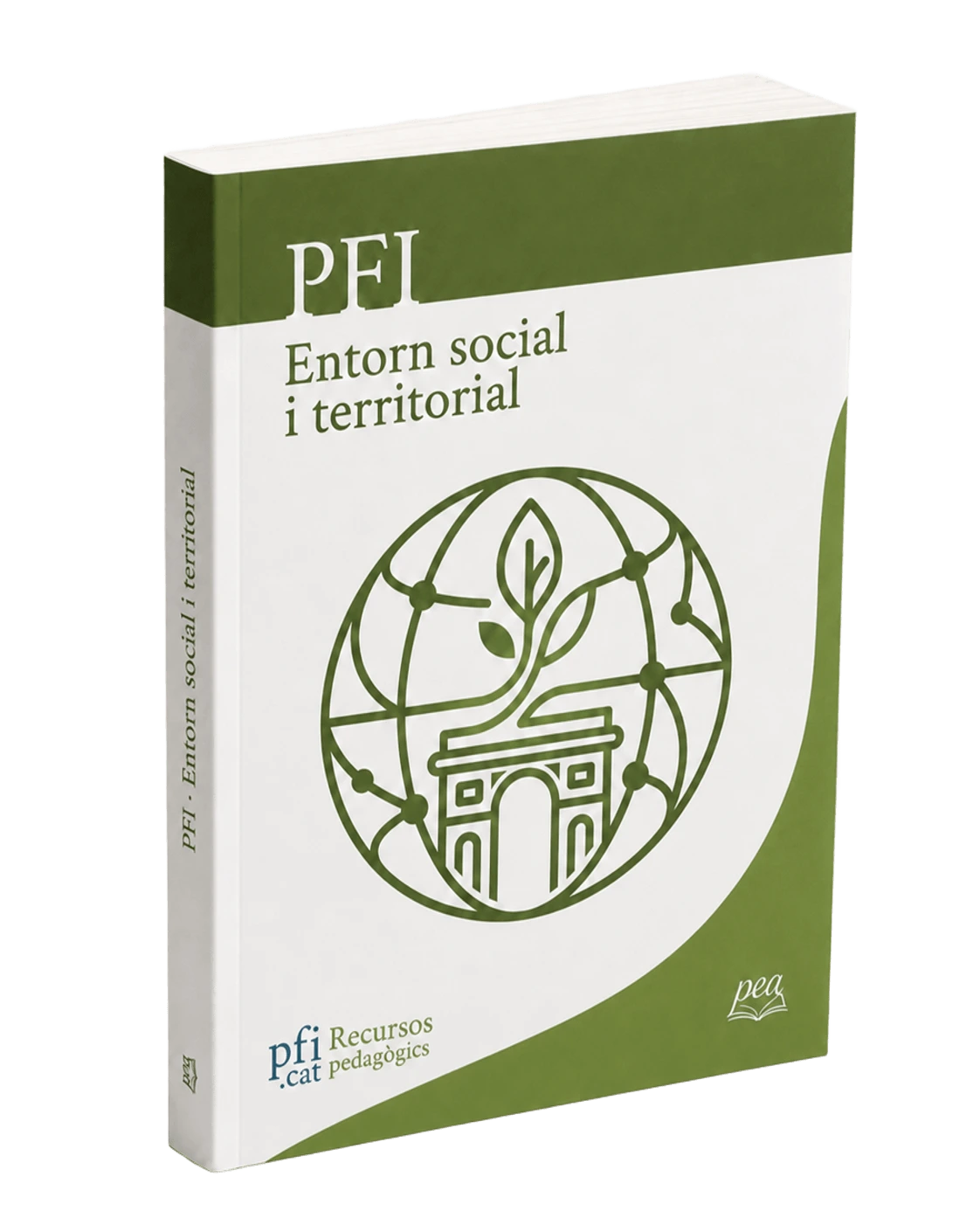 PFI Entorn social i territorial