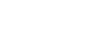 logo blanc